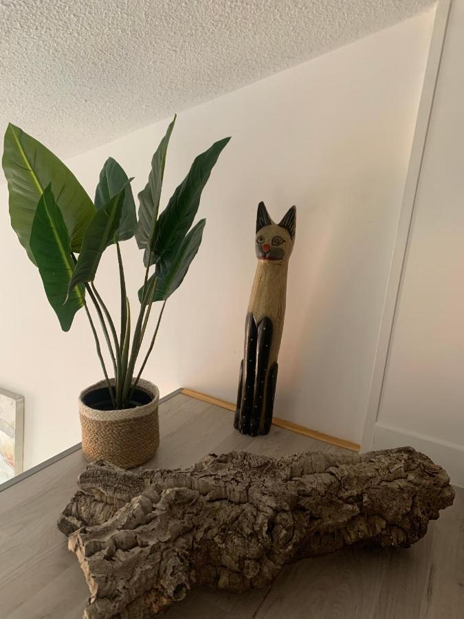 Duplex Raphael- Wi-fi Et Parking Prive
